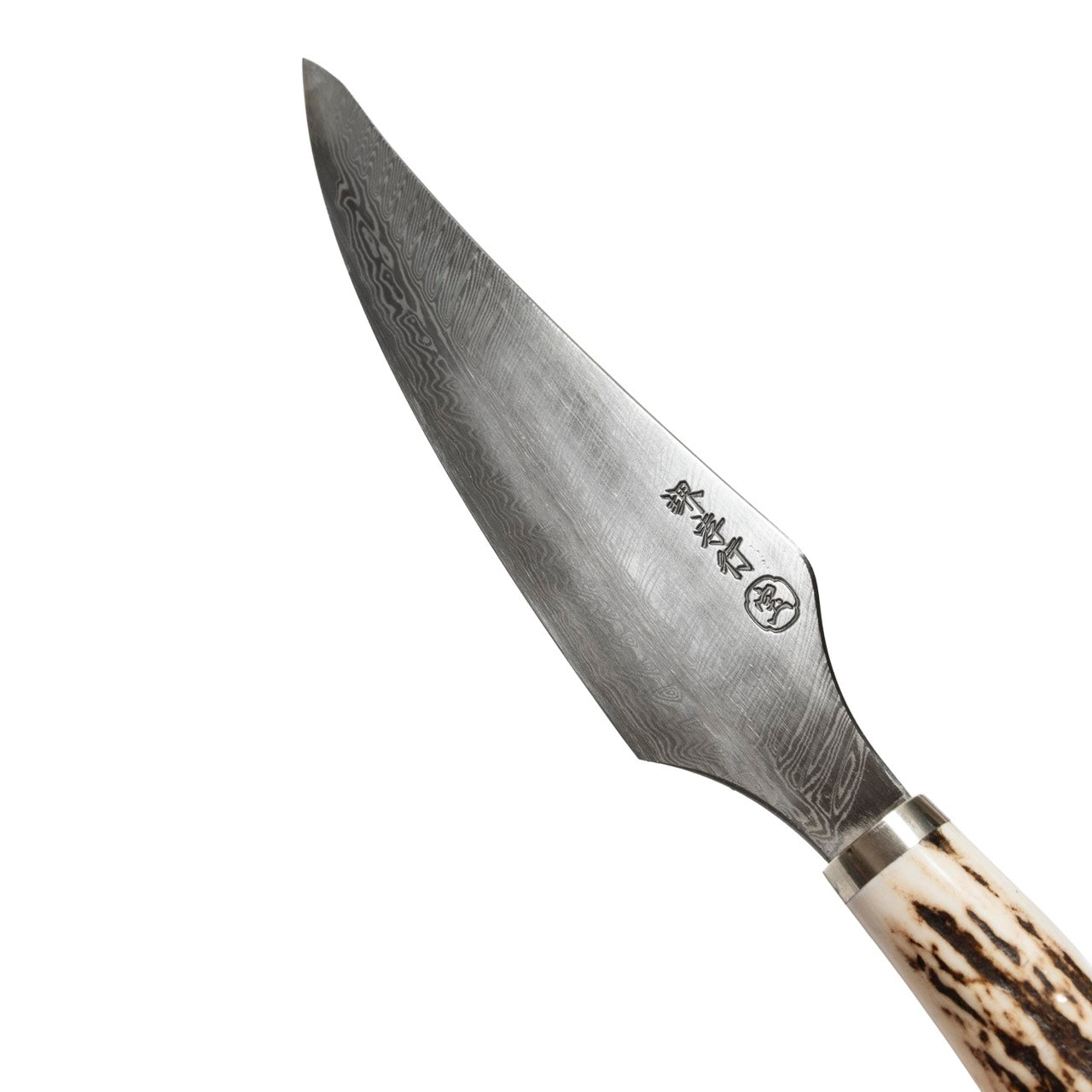 SAKAI TAKAYUKI × SUBCULTURE Special model ”SC Feather Damascus”